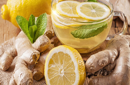 Honey Ginger Green Tea - The Elixir for Healthy Living